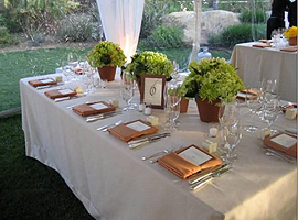 have a backyard wedding