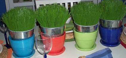 nonfloral grass wedding centerpieces