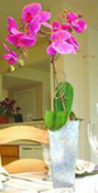 orchid centerpiece